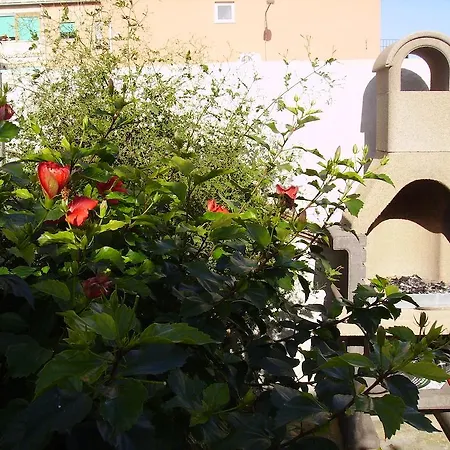 B&B Dante Alighieri